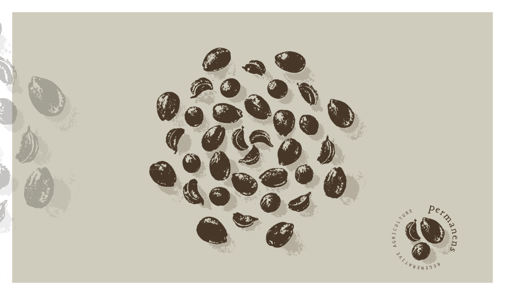 Jacopo-Permanens-logotipo-galeria-2