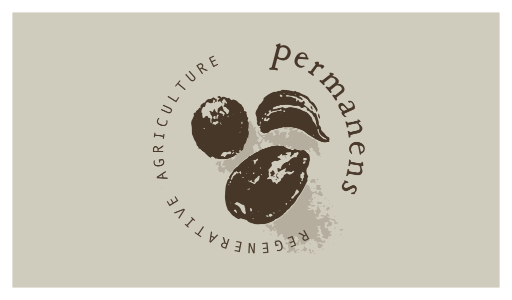 Jacopo-Permanens-logotipo-galeria-3